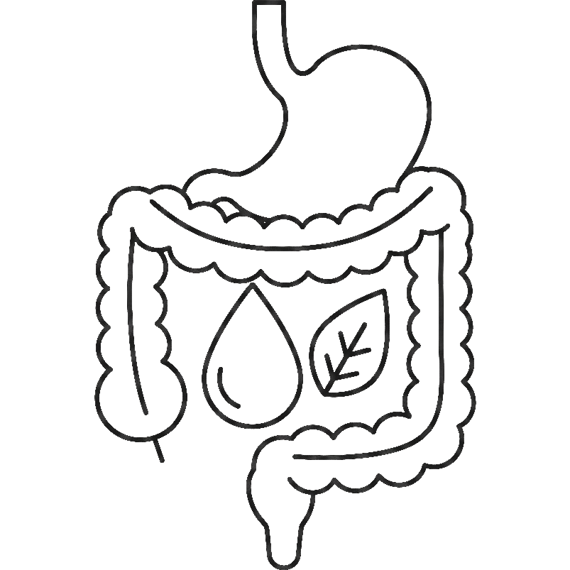Gut Cleansing Icon