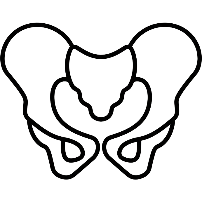 PMFT Icon